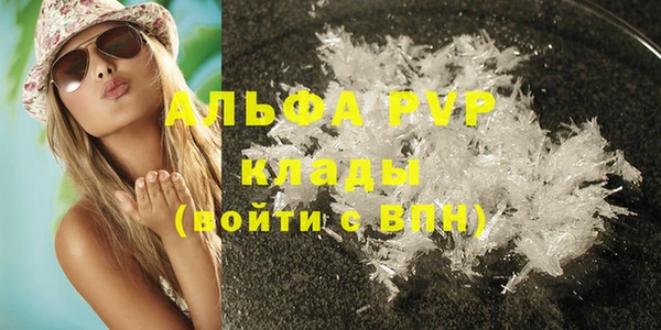хмурый Бородино