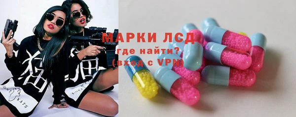 хмурый Бородино