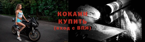 хмурый Бородино