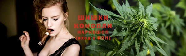 хмурый Бородино