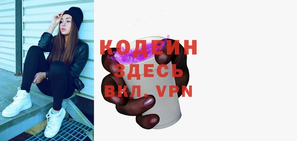 хмурый Бородино