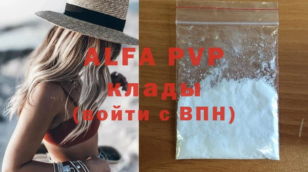 хмурый Бородино