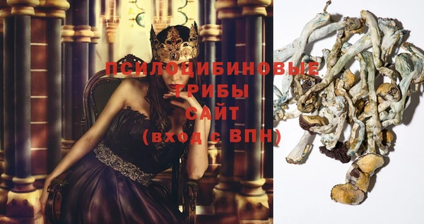 стаф Бронницы