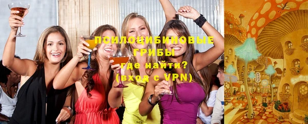 стаф Бронницы