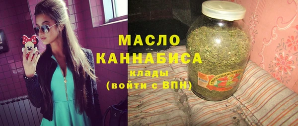хмурый Бородино
