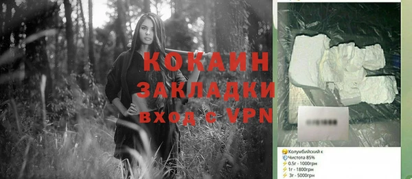хмурый Бородино