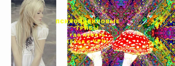 стаф Бронницы